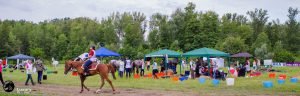 Shagya Sports Club - Foto, Video & Live - Transmisiune live si temporizare - Eveniment sportiv