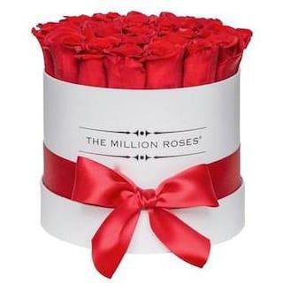 Expunere-clienți-și-vânzări-mai-bune-million-roses-1.jpeg