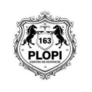 Expunere-clienți-și-vânzări-mai-bune-plopi-1.jpeg
